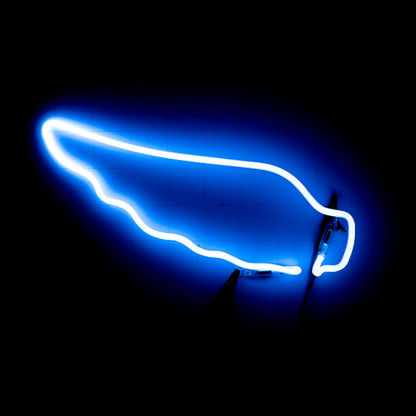 wing? - Mystery/Unknown Unit – Neon USA – Replacement Tube – Neon Sign Part