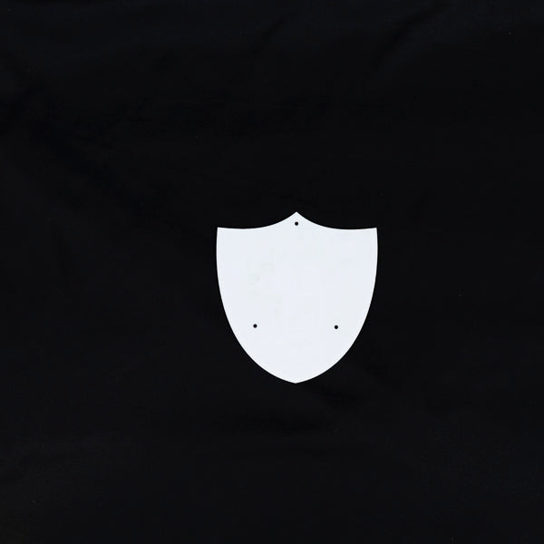Raiders Neon Sign Plastic Replacement Panel