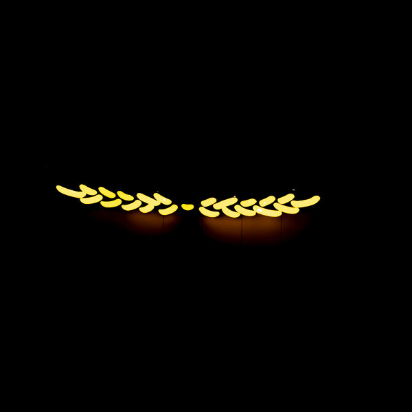 Modelo Marquis Wheat unit - Replacement Tube – Neon Sign Part