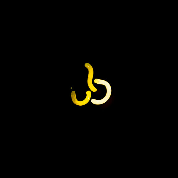 Unkown / Mystery Neon Sign Replacement Tube