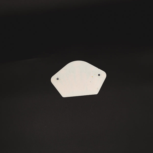 Crown for Tunes, Babes & Bikes Budweiser Select and Others Neon Sign Plastic Replacement Panel