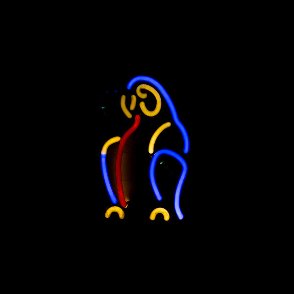 Top Section of Parrot Replacement Tube - Neon Sign Part Used