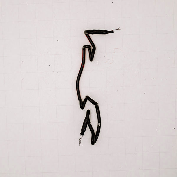 Unknown / Mystery Parrot Part Neon Sign Replacement Tube