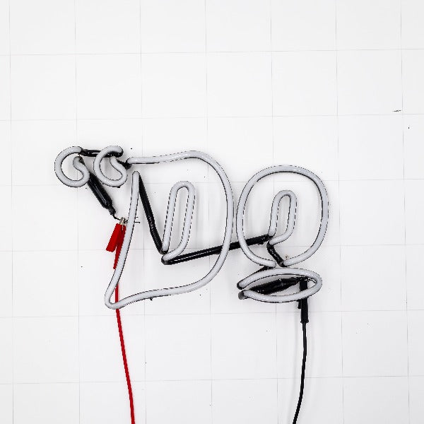 DO Double Stroke Word Unit Replacement Tube - Neon Sign Part Used