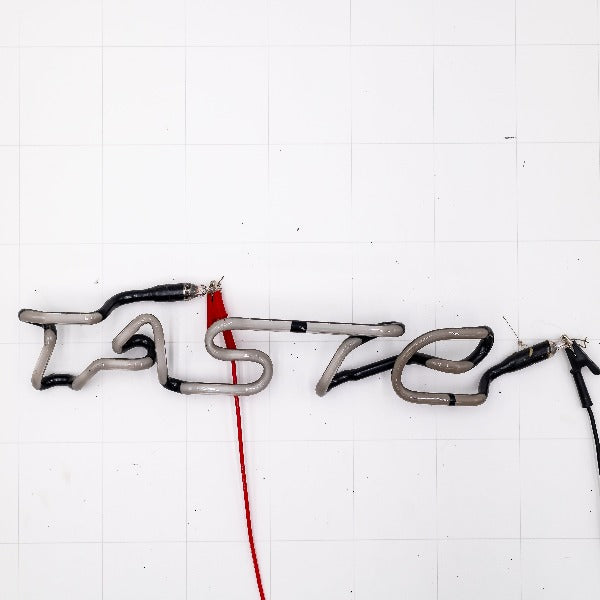 TASTE Single Stroke Word Unit Replacement Tube - Neon Sign Part Used