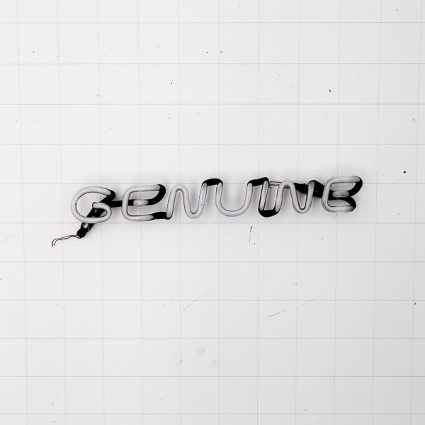 GENUINE Single Stroke Word Unit Neon Sign Replacement Tube