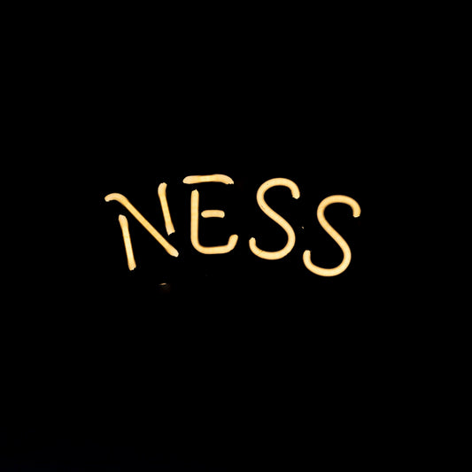 NESS for Guinness Neon Sign Replacement Tube Used