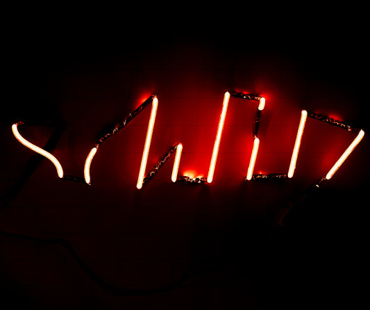 Red Inner unit for Small Schlitz Flasher Motion Sign Replacement Tube - Neon Sign Part