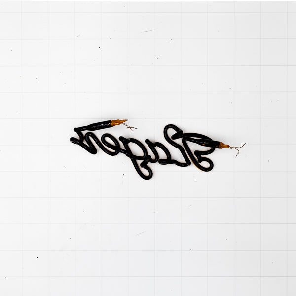 Lager Script Word Unit Replacement Tube - Neon Sign Part Used