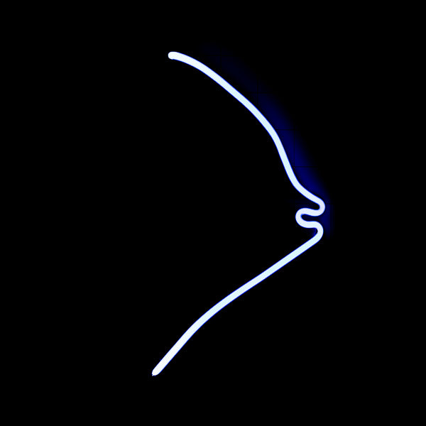 Fish? - Mystery/Unknown Unit – Neon USA – Replacement Tube – Neon Sign Part