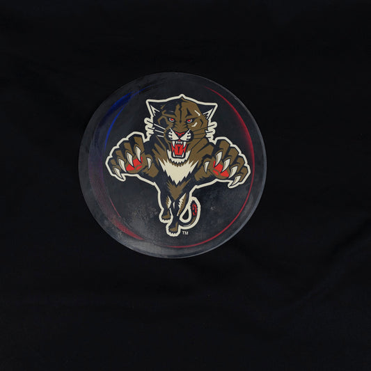 Bud Ice NHL Florida Panthers Plastic for sign shown Replacement Panel