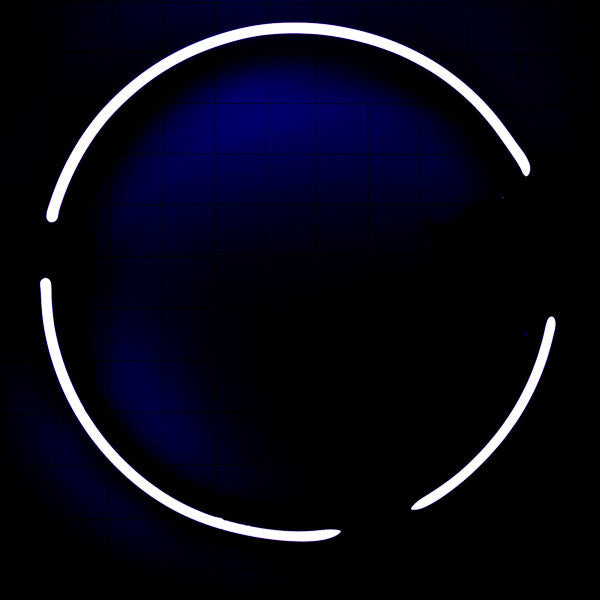 Circle / Ring Broder Unit for Miller Palm Tree Replacement Tube - Neon Sign Part