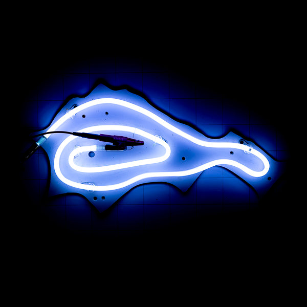 Grid / Backlight & Plastic Back Plate for Coors Mountain Replacement Tube - Neon Sign Part