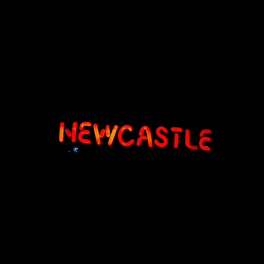 NEWCASTLE Single Stroke Word Unit for This Will Look Great In Somebody's Basement (or A $400 sign to get you to buy a $6 Beer) Replacement Tube - Neon Sign Part