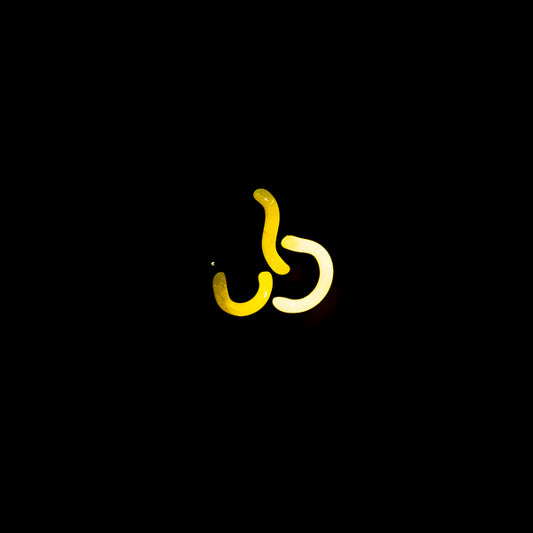 Unkown / Mystery Neon Sign Replacement Tube