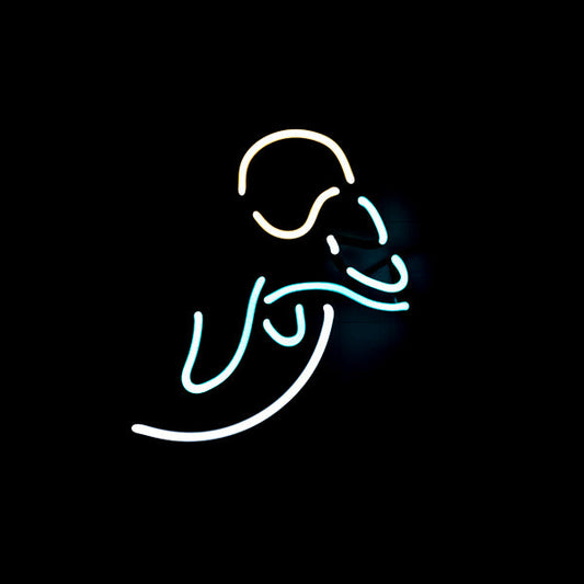 Dolphin Head unit for Budweiser and Bud Light Miami Dolphins logo - Neon Sign Replacement Tube