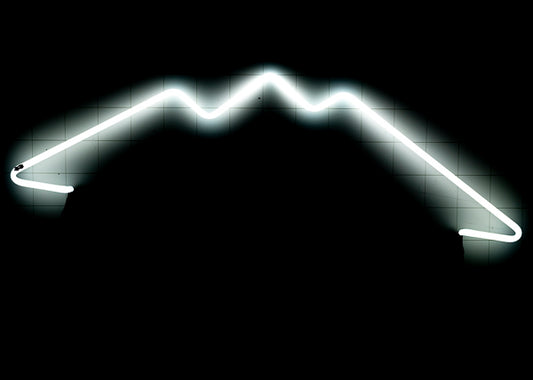 Large Mountain unit for Vintage BUSCH w/reflector Replacement Tube - Neon Sign Part