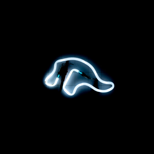 Unknown / Mystery Replacement Tube - Neon Sign Part