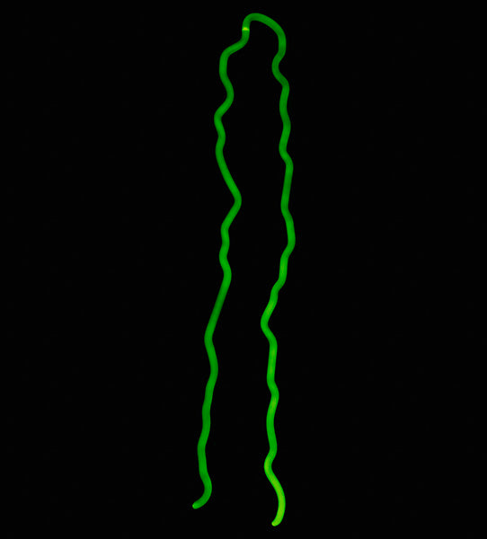 Inside of Monster for Energy M Logo Replacement Tube - Neon Sign Part