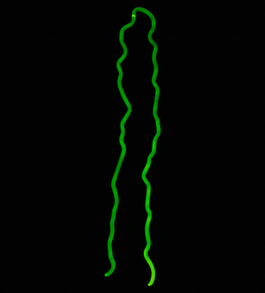 Inside of Monster for Energy M Logo Replacement Tube - Neon Sign Part