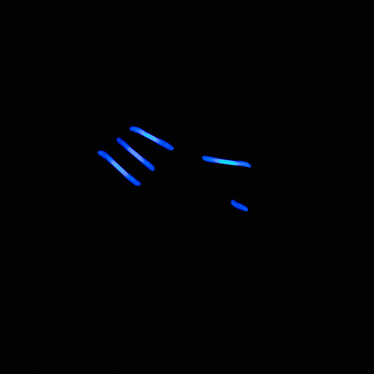 Unknown / Mystery Replacement Tube - Neon Sign Part