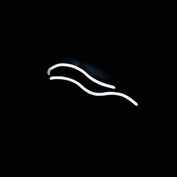 Unknown / Mystery Unit Replacement Tube - Neon Sign Part