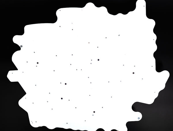 Golden Wheat Bud Light Neon Sign Plastic Replacement Panel