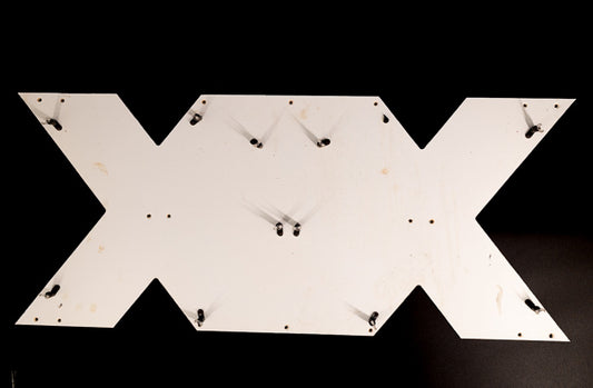 XX Backing for Dos Equis Neon Sign Plastic Replacement Panel