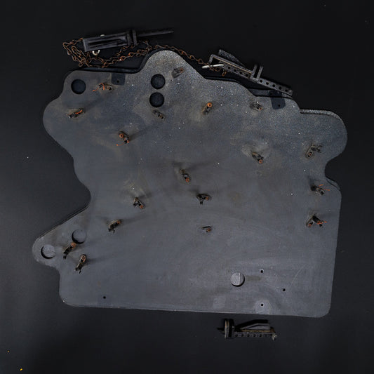 Salem Neon Sign Plastic Replacement Panel