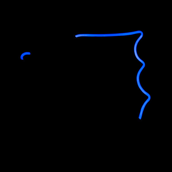 Eye and Fin Border unit  for Budweiser Fish Replacement Tube - Neon Sign Part