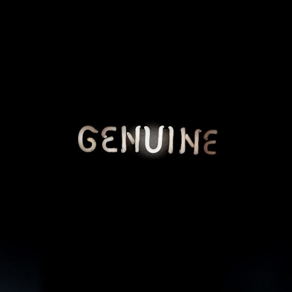 GENUINE Single Stroke Word unit for Miller Genuine Draft with Vertical Electrodes Replacement Tube - Neon Sign Part