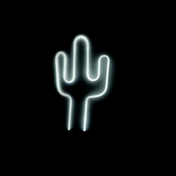 Cactus Neon Unit – 2.5” Vertical Electrode Spacing for Counter Display Transformer Replacement Tube - Neon Sign Part