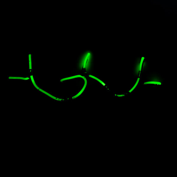 Palm Tree Emphasis unit for Dos Equis XX Palm Replacement Tube - Neon Sign Part