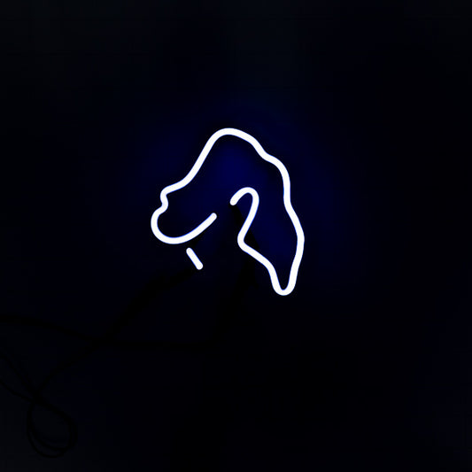 NK Unknown / Mystery Emphasis unit Replacement Tube - Neon Sign Part