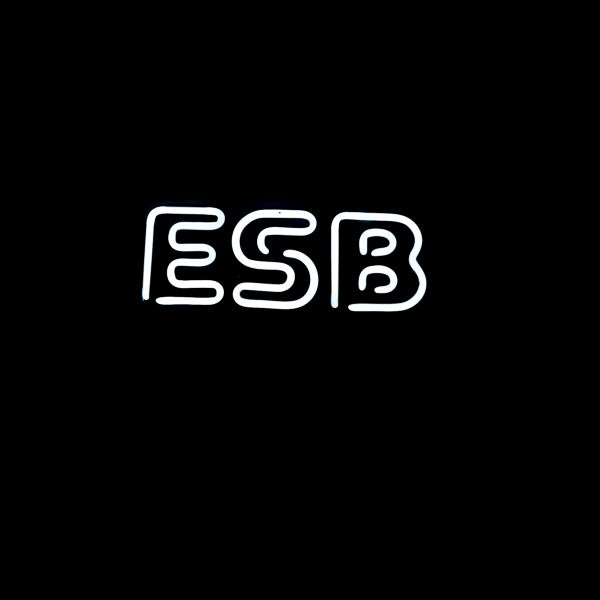 ESB Double Stroke Word unit for Red Hook Replacement Tube - Neon Sign Part