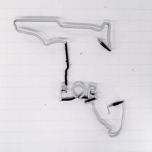 FOR Single Stroke Word unit & State Outline / Border for Coors Florida Replacement Tube - Neon Sign Part