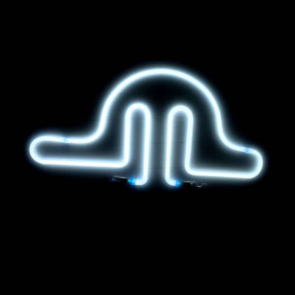 Unknown / Mystery Backlight/ Grid Unit NK Replacement Tube - Neon Sign Part