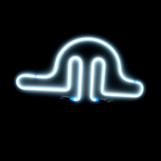 Unknown / Mystery Backlight/ Grid Unit NK Replacement Tube - Neon Sign Part