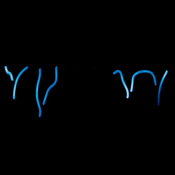 Icicles unit for Bud and Bud Light Walk in Cooler Temperature Replacement Tube - Neon Sign Part Used