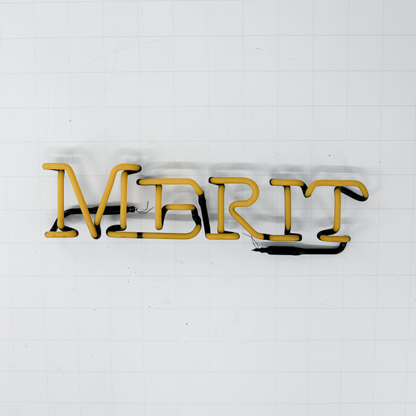 MERIT Single Stroke Word unit Replacement Tube - Neon Sign Part