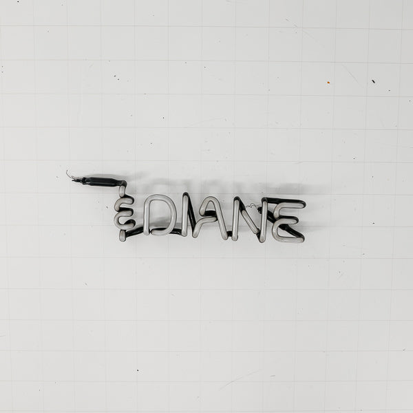 & DIANE Single Stroke Word unit for George & Diane Replacement Tube - Neon Sign Part