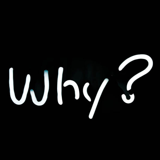 Why ? Single Stroke Word unit for Bud Dry Why Ask Why? Replacement Tube - Neon Sign Part
