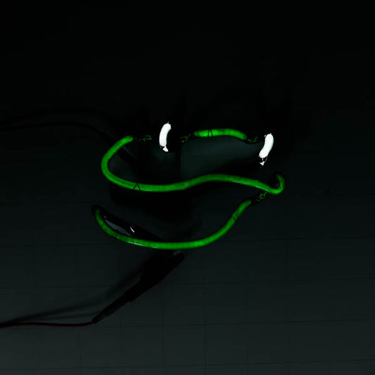 Frog Body / Eyes for Budweiser 2 Part Frog Replacement Tube - Neon Sign Part