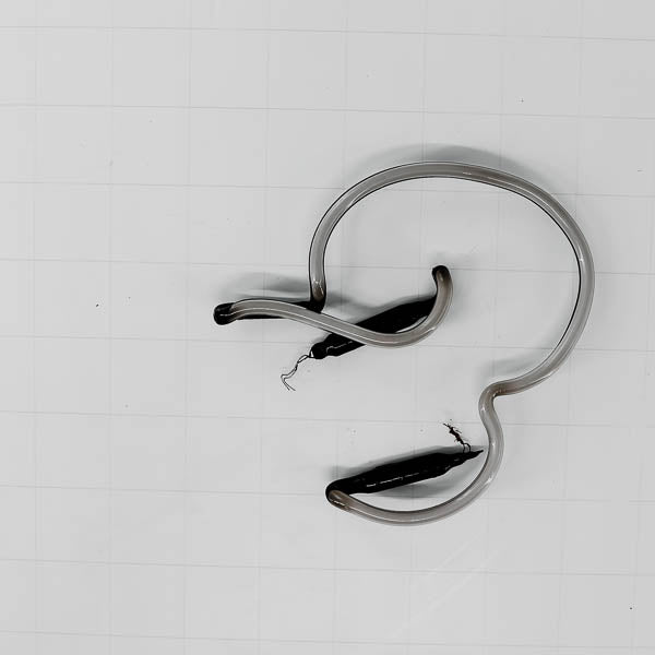 Unknown / Mystery Unit NK Replacement Tube - Neon Sign Part
