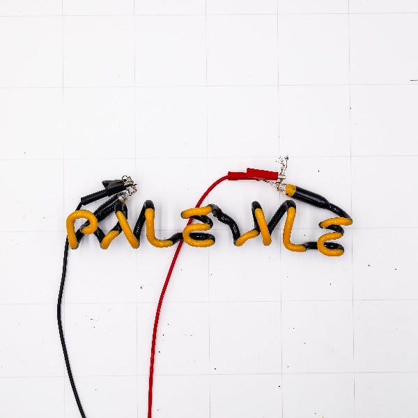 PALE ALE Single Stroke Word Unit Replacement Tube - Neon Sign Part Used