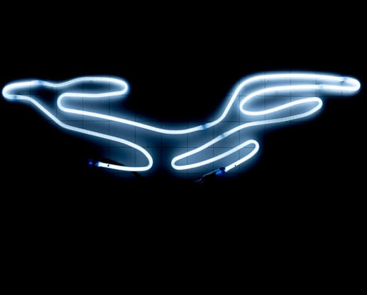 Budweiser Sturgis Eagle Grid/Backlight Neon Sign Replacement Tube