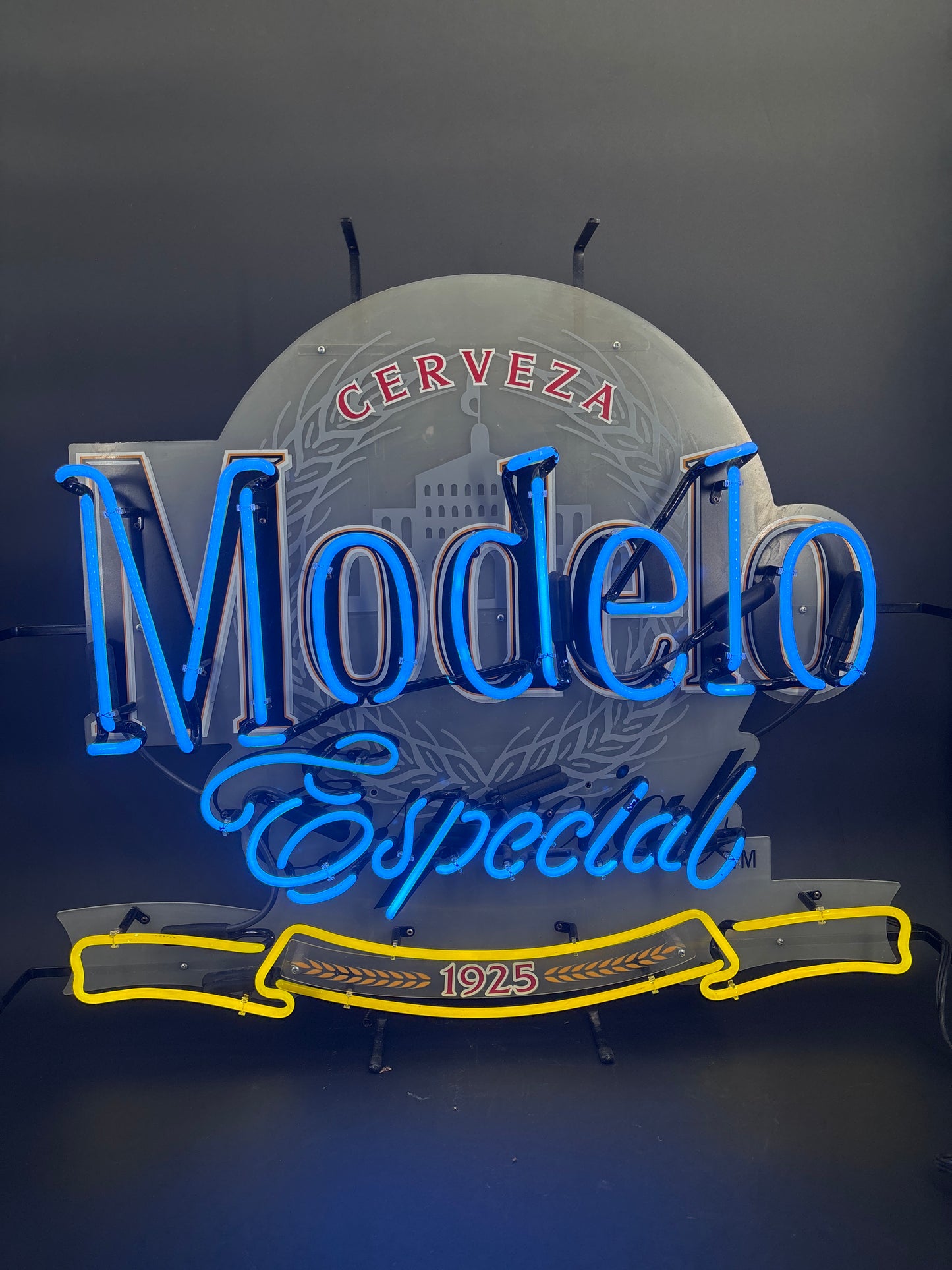 Modelo Especial Neon Sign Plastic Replacement Panel