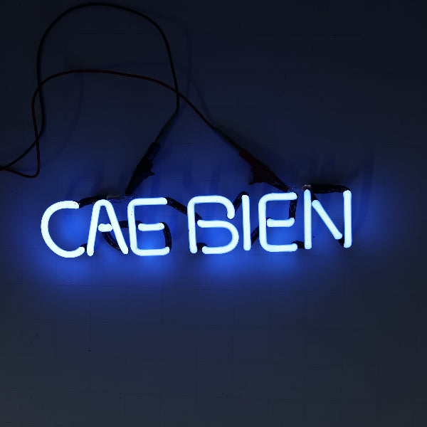 CAE BIEN unknown/mystery Single Stroke Word unit Replacement Tube - Neon Sign Part