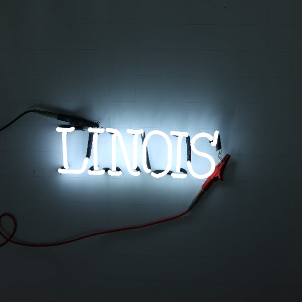 LINOIS Single Stroke Word unit SO. ILLINOIS for Pabst Beer Custom Name / City Replacement Tube - Neon Sign Part