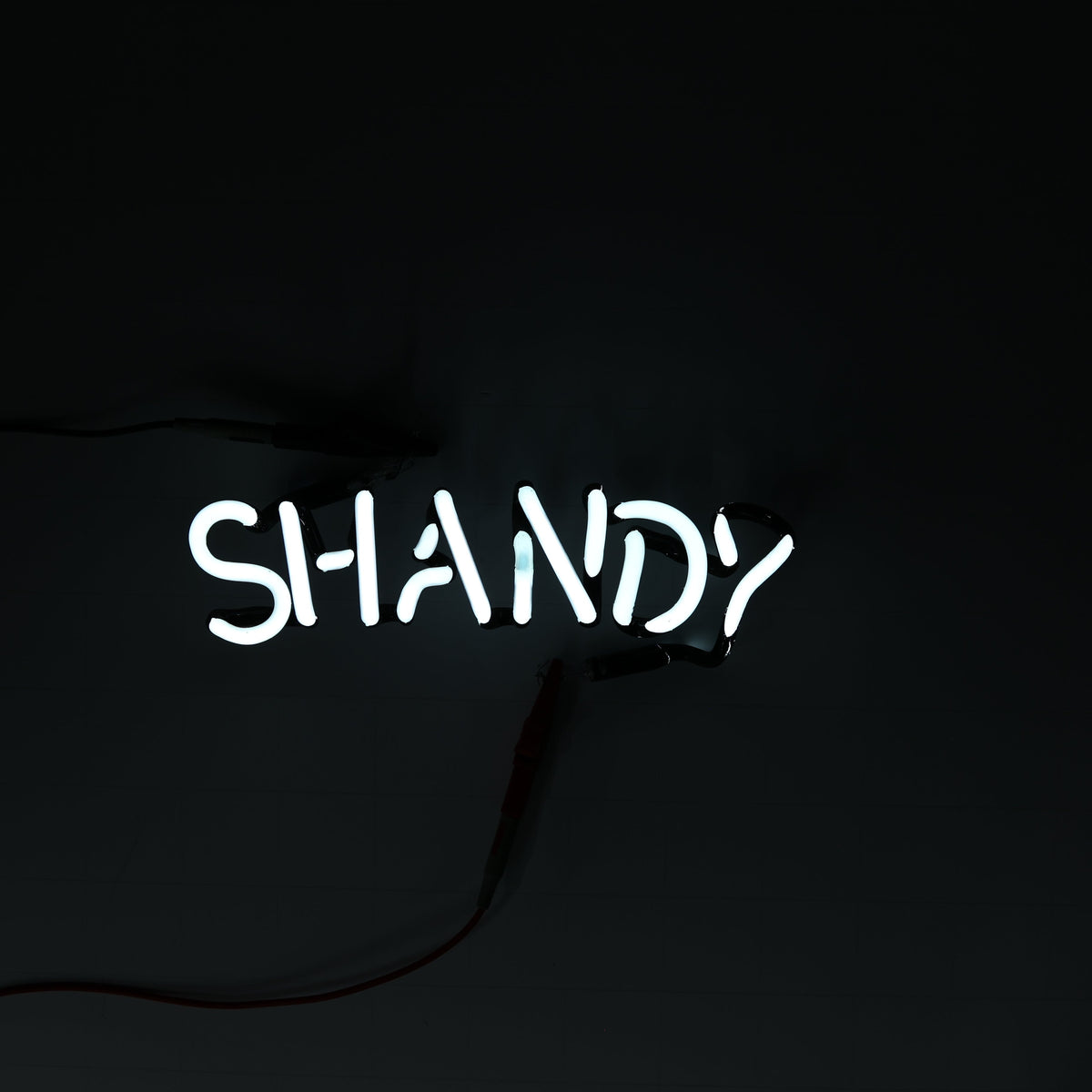 SHANDY Single Stroke Word unit for Leinenkugel’s Summer Shandy Replacement Tube - Neon Sign Part